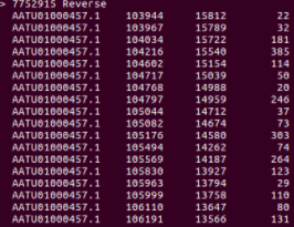 mummeroutput